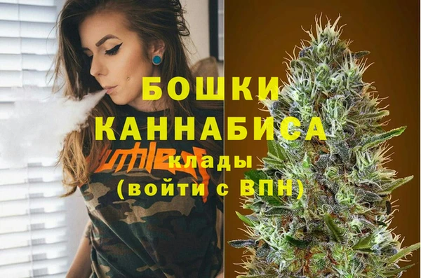 крисы Переславль-Залесский